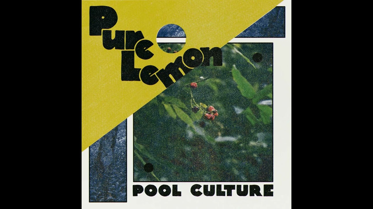 Pool Culture &ndash; Birds Like These
