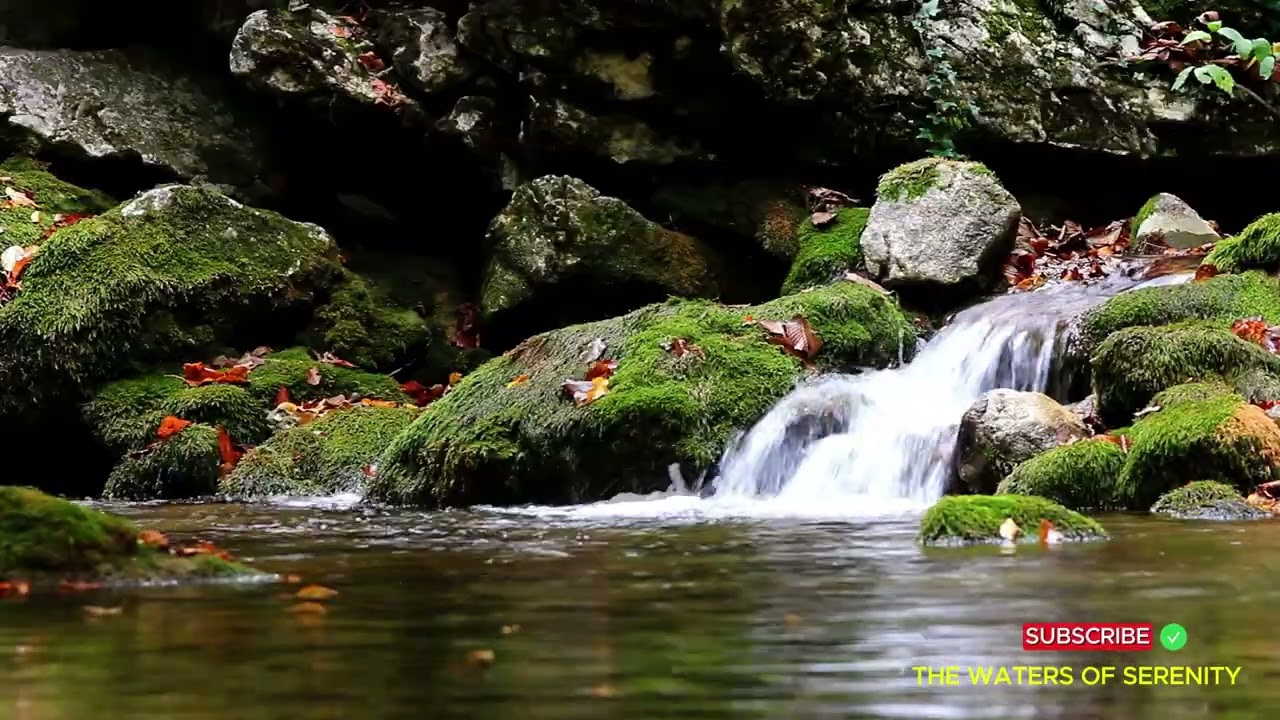 2 Hours Peaceful Mossy Stream ☘️ Gentle Flowing Water & Calm Nature Sounds 🌿