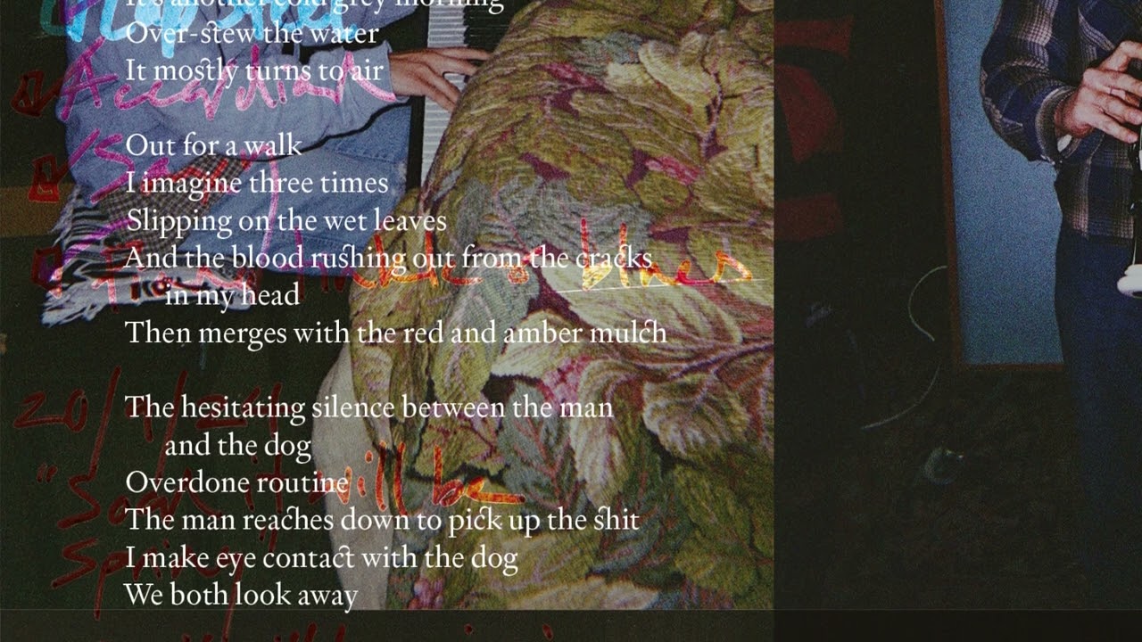 Black Country, New Road - 'Forever Howlong' (Lyric Video)