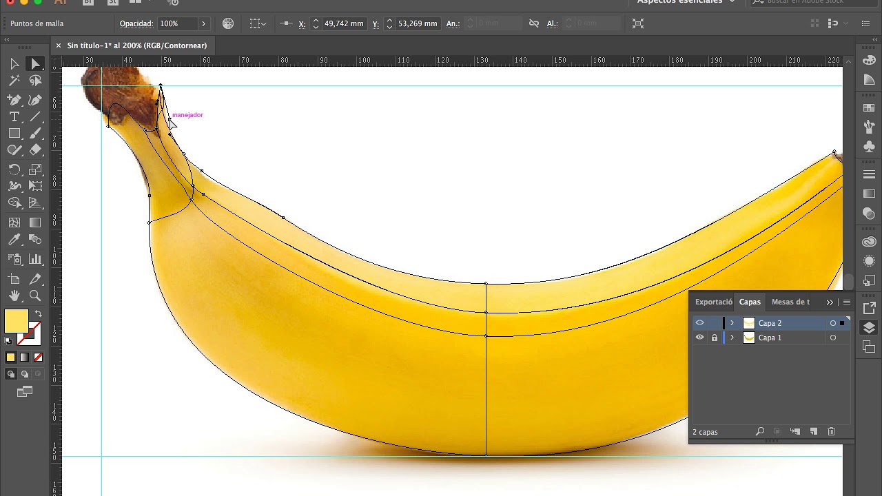 Banano con malla en Illustrator
