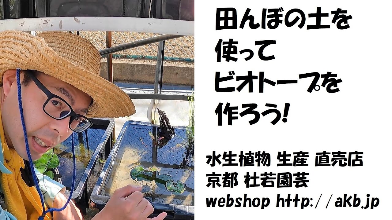 田んぼの土を使ってビオトープ作ろう！