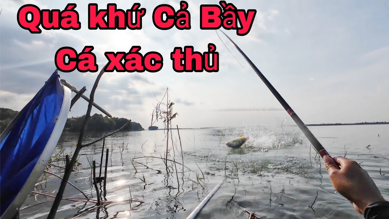 Truy Tìm Loài Cá Hung Giữ Cả Ngày Lẵng Đêm Kết Quả Bay Cần hải vlog