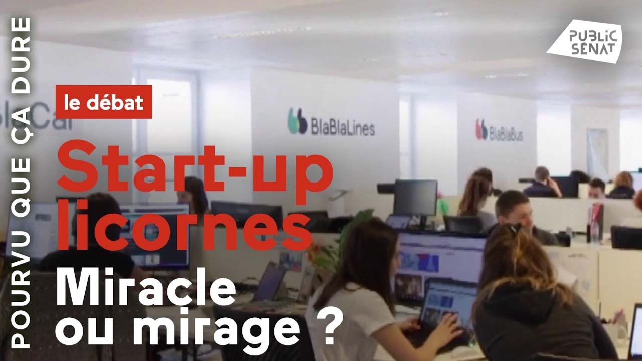 Les start-up licornes : miracle ou mirage ? La réponse du PDG de Jolt Capital
