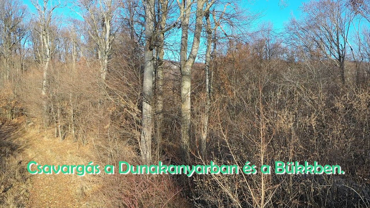 Csavargás a Dunakanyarban és a Bükkben.