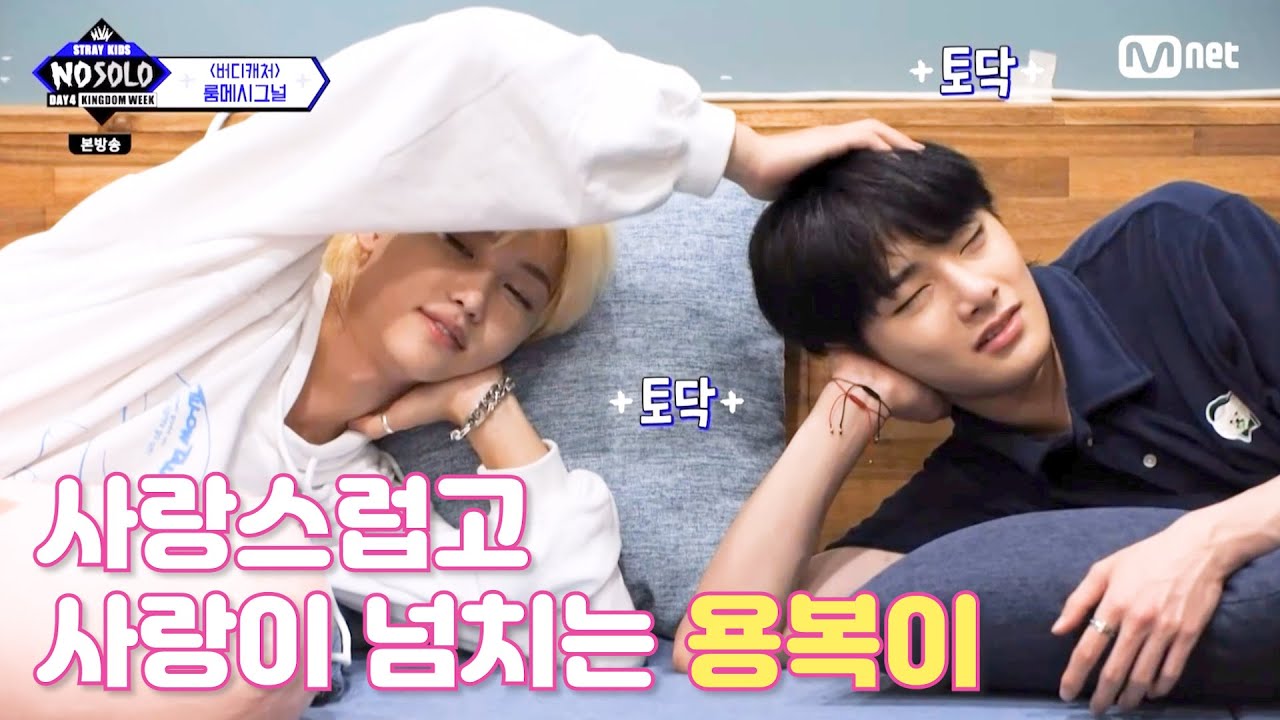 [스트레이키즈/필릭스] 오늘도 빼곡하게 사랑스러운 용복이(+ 댕냥즈 꽁냥케미)