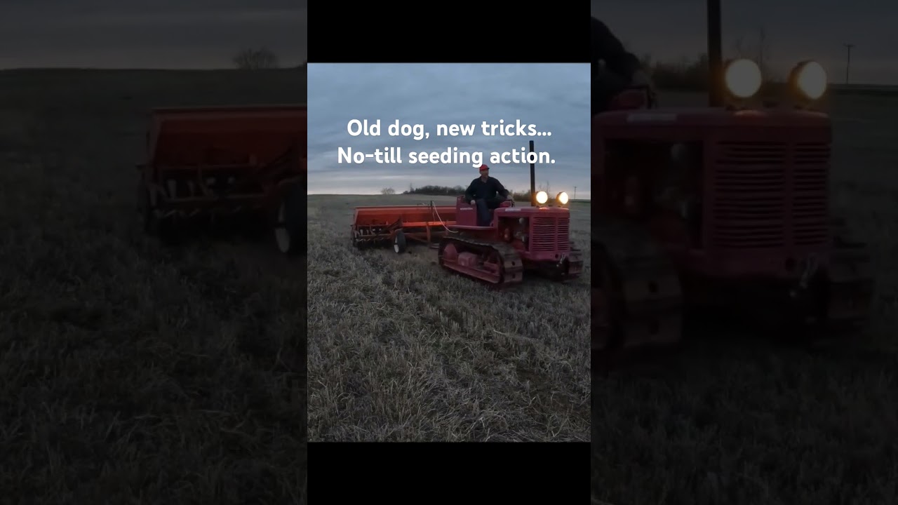 No-till hay grass seeding