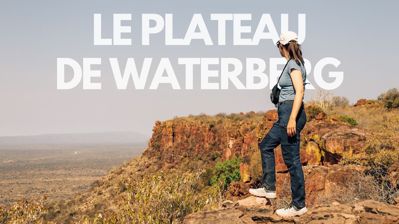 LA DÉCEPTION AU PARC NATIONAL DE WATERBERG | Dernier vlog voyage en Namibie ! 🇳🇦