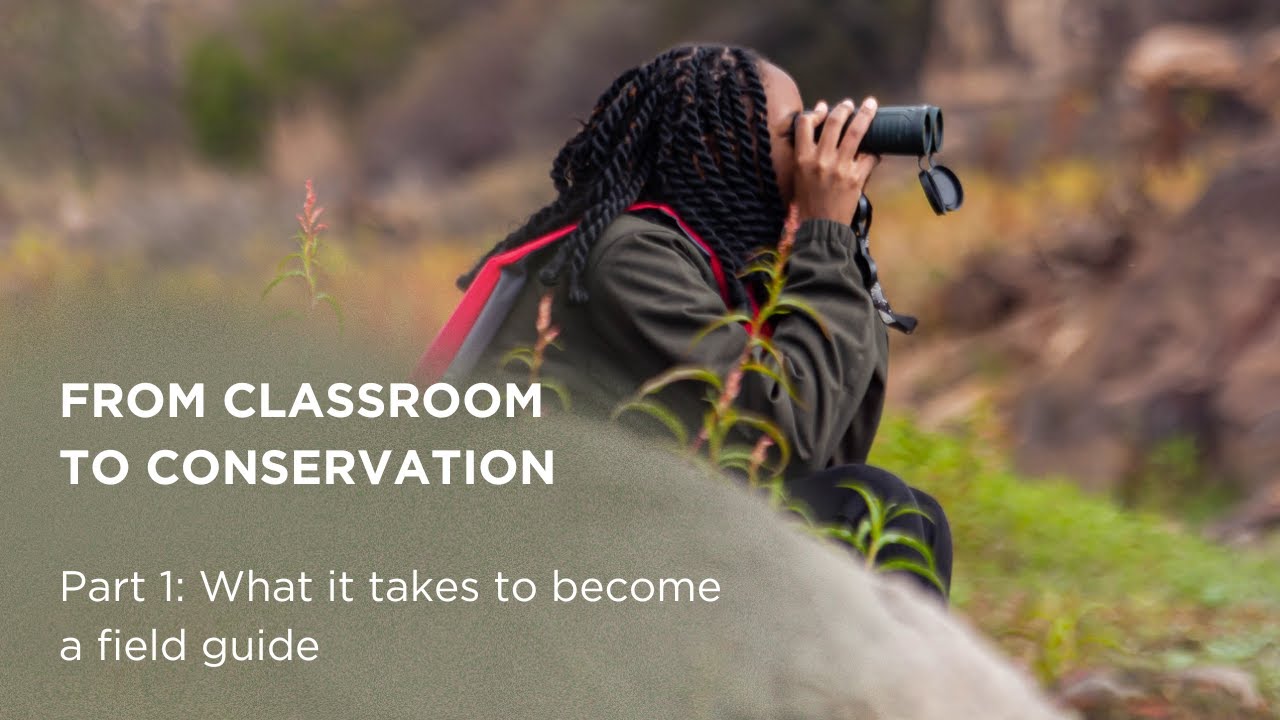 What it takes to become a field guide