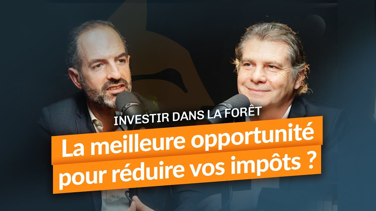 Investir dans la forêt : la meilleure opportunité pour réduire vos impôts ?
