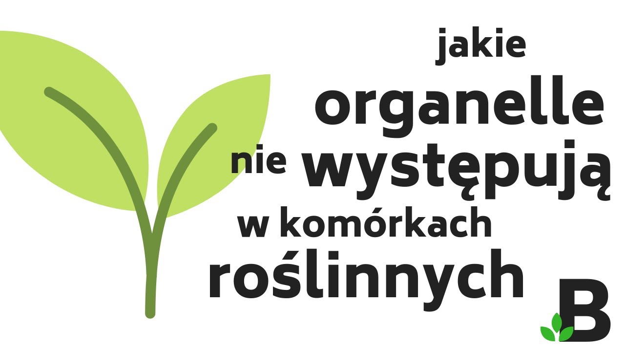 Jakie Organelle nie występują w Kom&oacute;rce Roślinnej? &ndash; Budowa Kom&oacute;rki Roślinnej - BIOLOGIA &ndash; 351