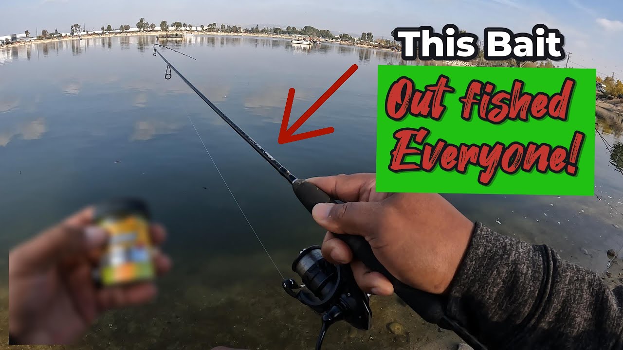Fishing Santa Ana River Lakes 2025