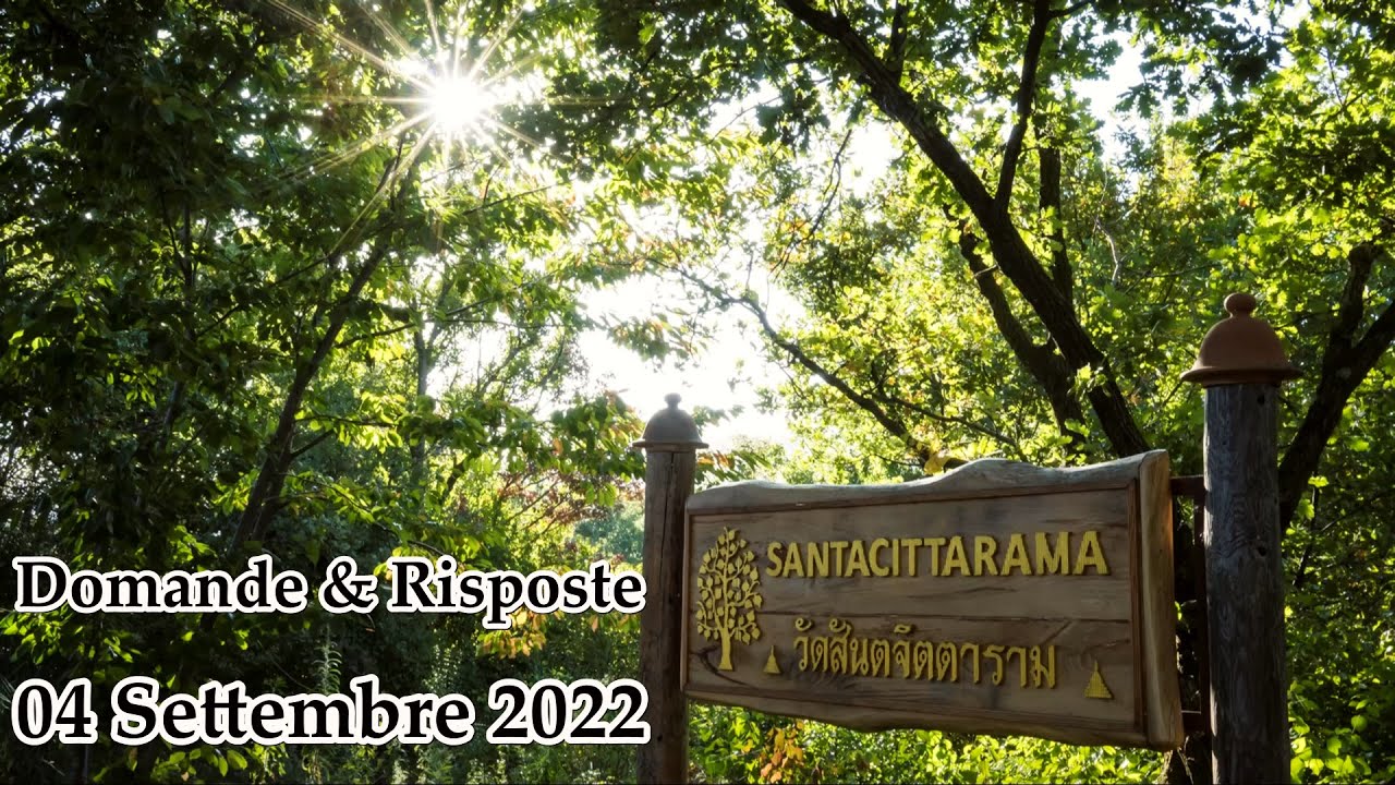 Ajahn Mahāpañño - Dhamma Domande e Risposte [Domenica 04 Settembre 2022]