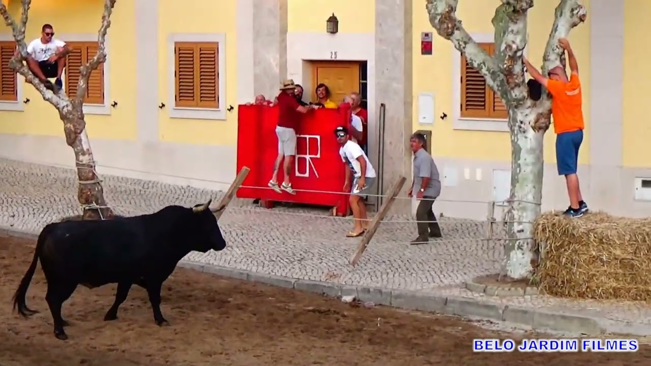 ENTRADA DE TOIROS FESTAS DE SAMORA CORREIA DIA 17 DE AGOSTO 2018 