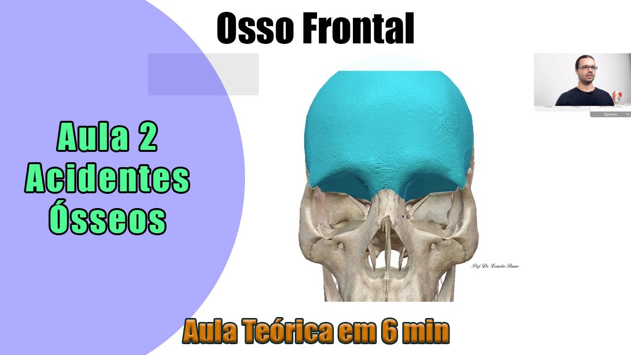 Osso Frontal - Aula Teórica - Acidente Ósseo - Parte 2