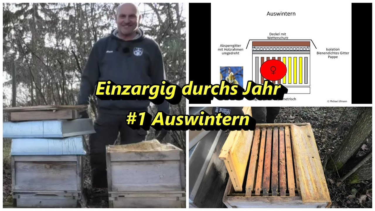 Einr&auml;umig durchs Jahr #1 Auswintern