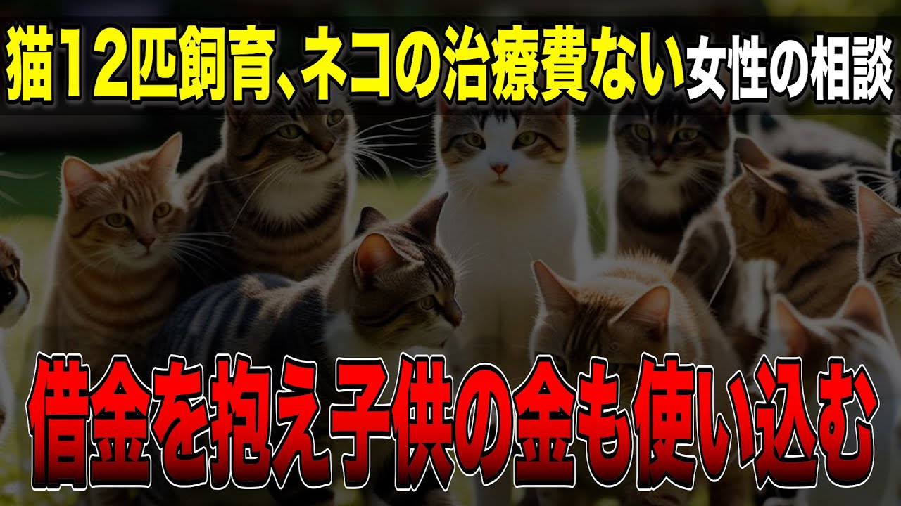 【相談者とリスナー大喧嘩】猫の多頭飼で飼育崩壊…ノックも擁護できない相談者の状況とは…