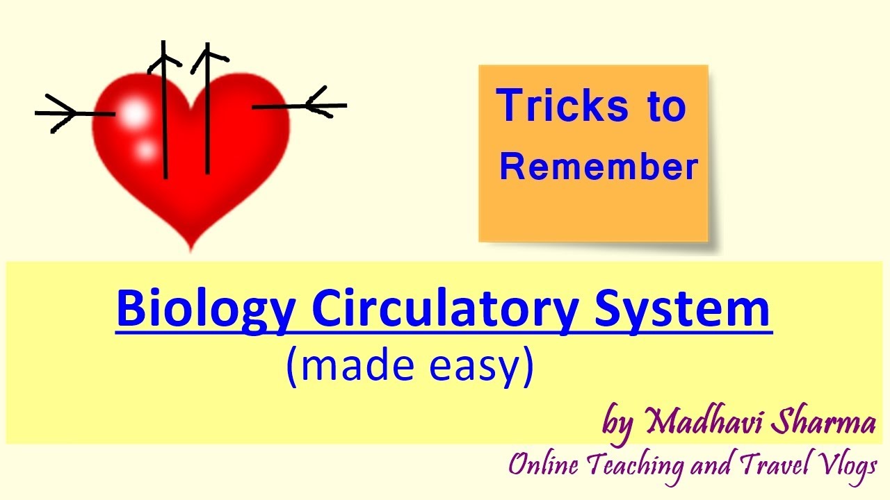 Biology Circulatory system made easy - (Tricks to remember)