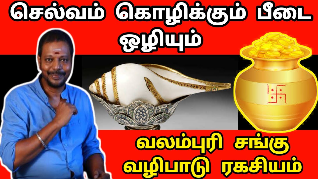 செல்வம் கொழிக்கும் பீடை ஒழியும் வலம்புரி சங்கு வழிபாடு ரகசியம் | Mayan Senthil Kumar |sangu valipadu