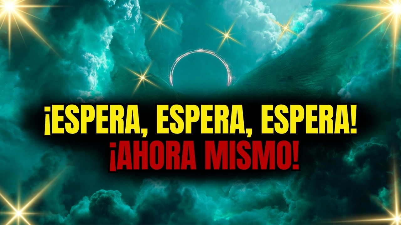 ¡ELEGIDO, ESPERA, ESPERA, ESPERA! MIRA INMEDIATAMENTE