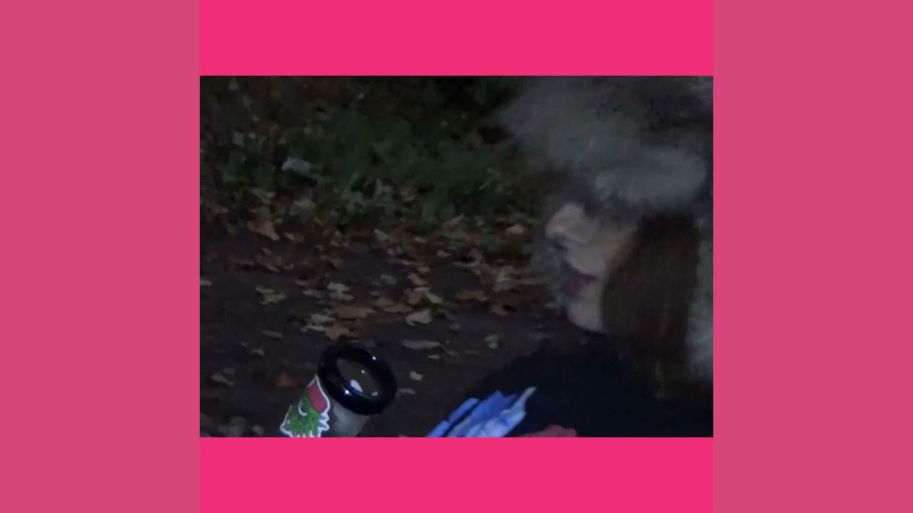 ALKYPINK - PINK KATYDID PT2 (FADED DAN A HOE) PROD JELINA