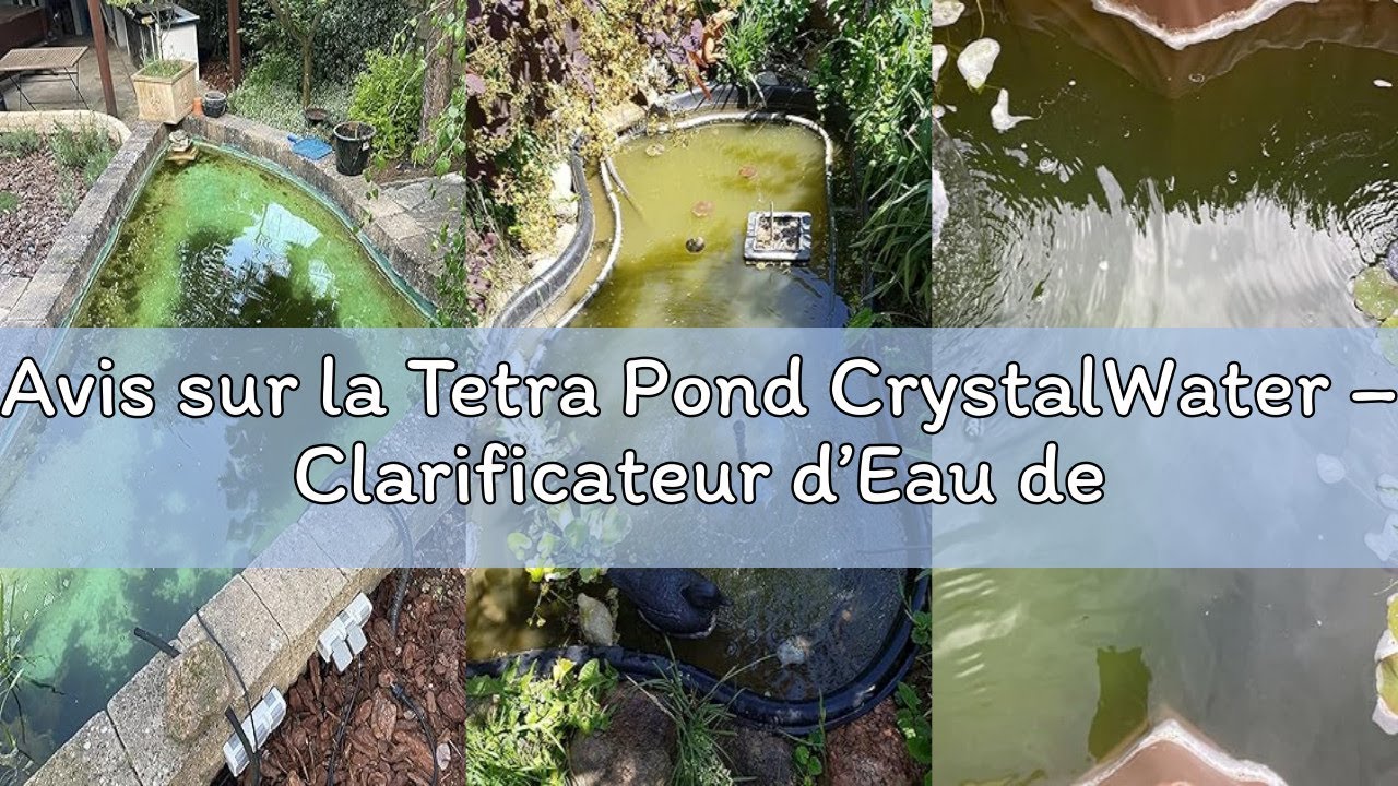 Avis sur la Tetra Pond CrystalWater – Clarificateur d’Eau de Bassin – Favorise une Eau Cristalline -