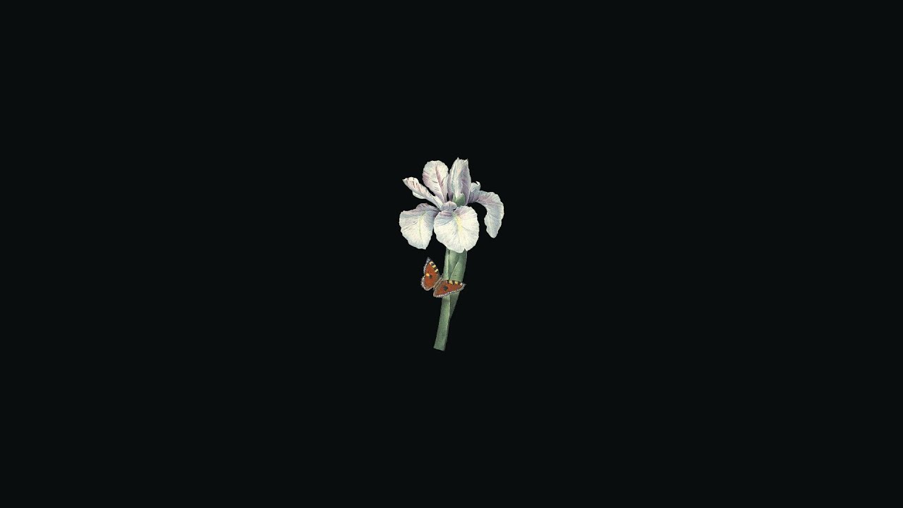 Phora Type Beat 