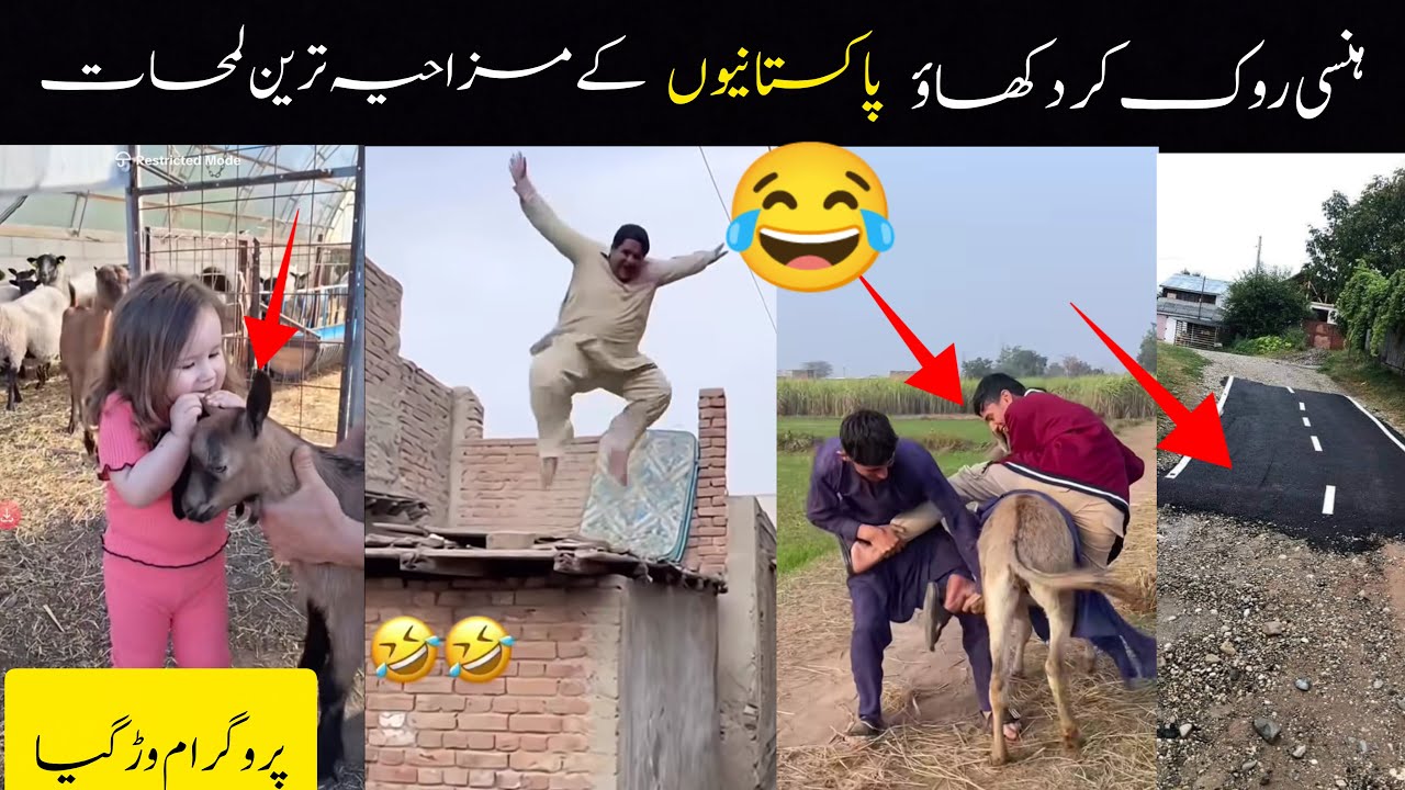 MOST FUNNY MOMENTS OF PAKISTANI |Episode 56😂🤣 PEOPLE | Pakistani Funny Video