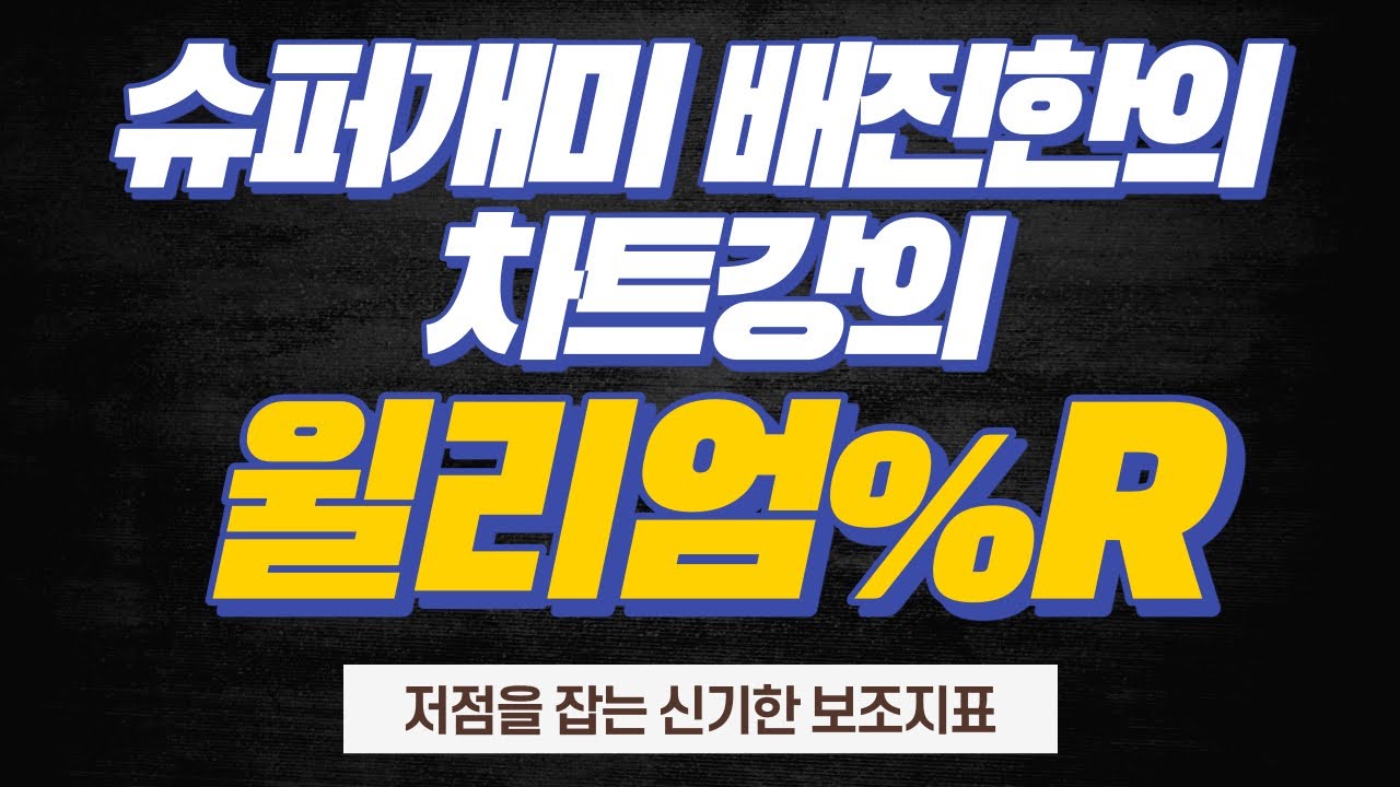 슈퍼개미 배진한 배싸부 주식 차트강의 I #저점을 잡는 윌리엄%R편
