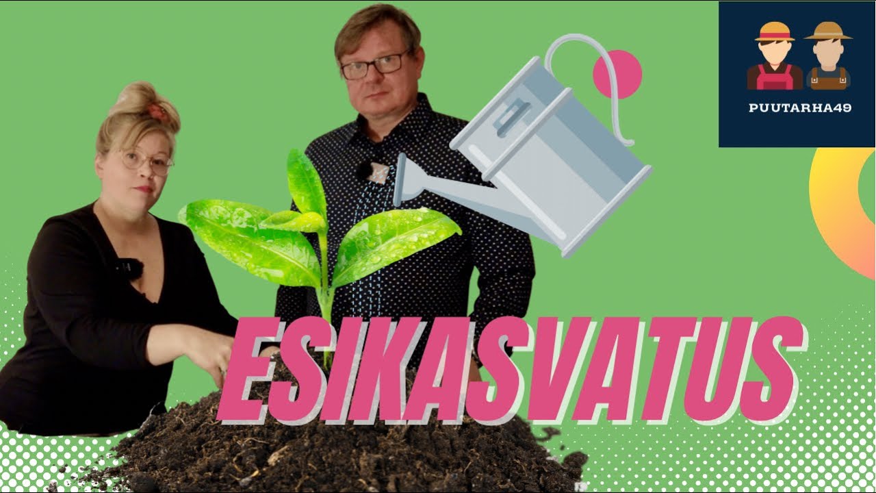 Esikasvatus