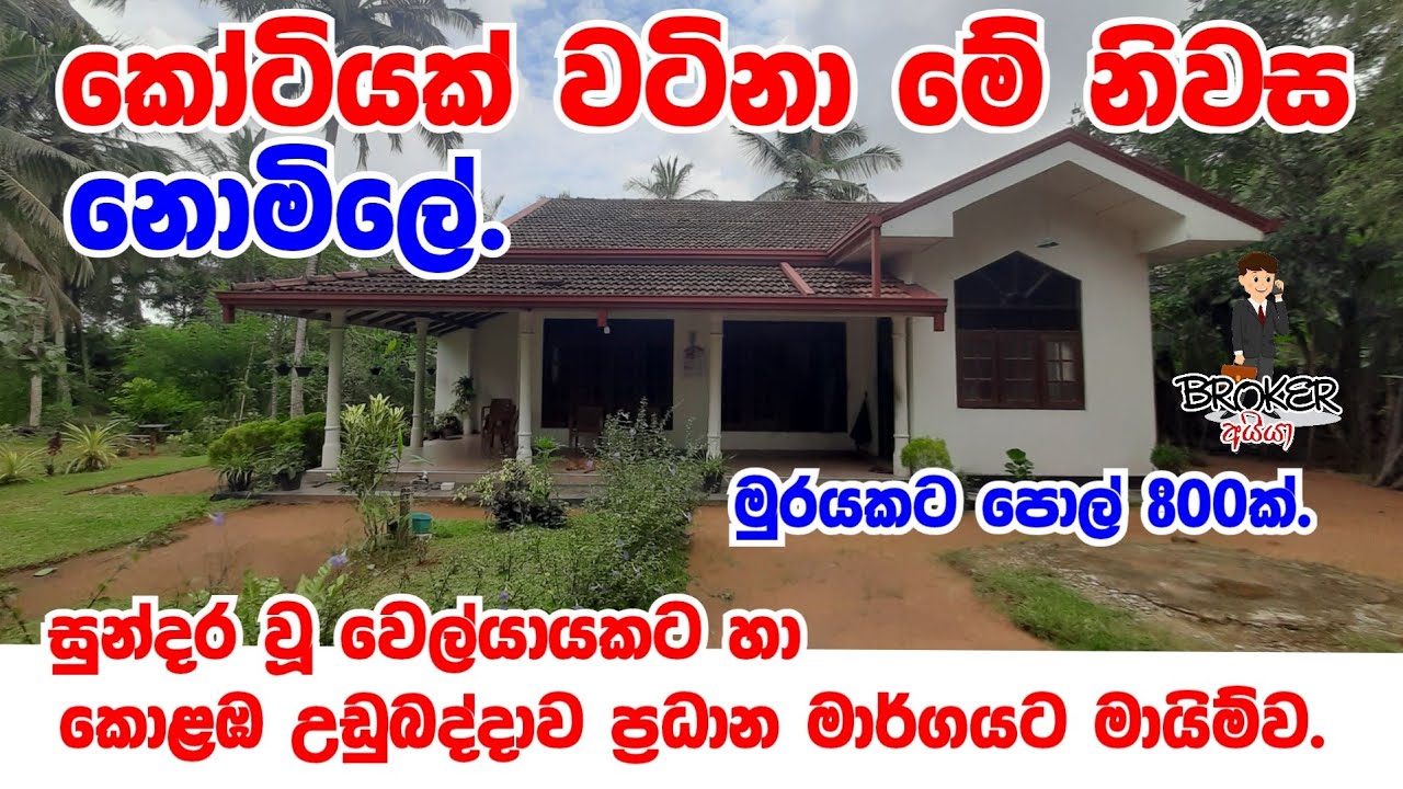 House and property for sale in Udubaddawa/udubaddawa property sale/Idam gewal/coconut land/pol idam