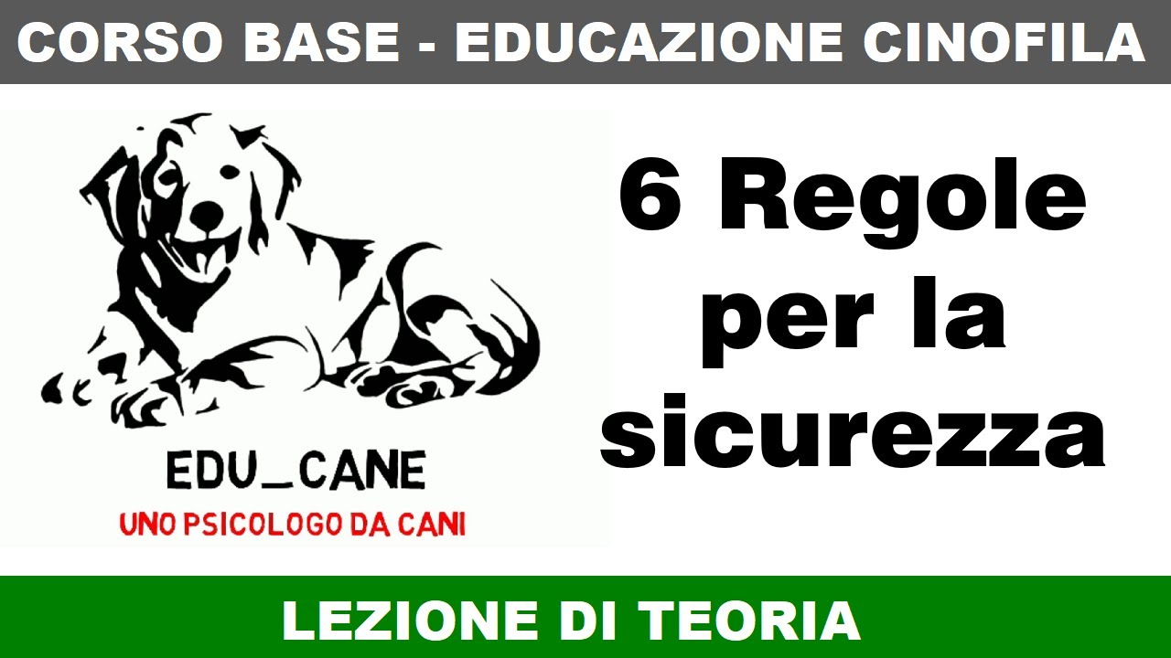 6 Regole per la sicurezza nella gestione del cane