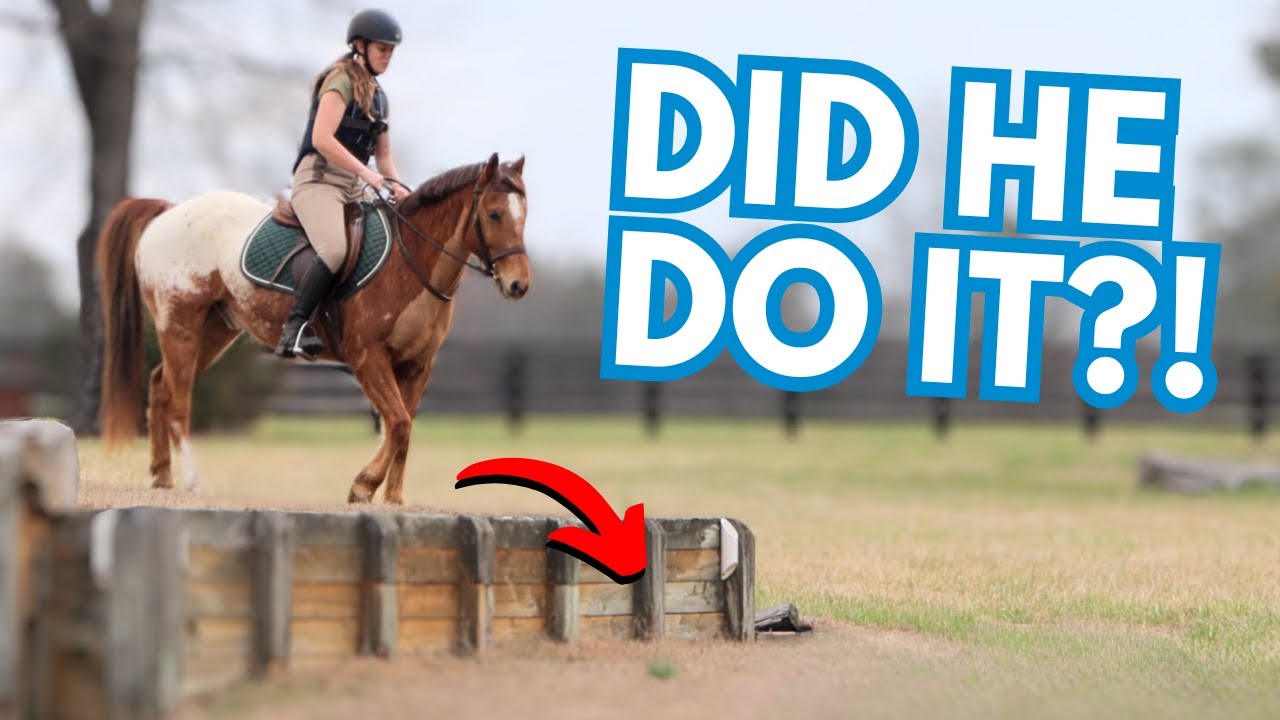 FIRST EVER CROSS COUNTRY SCHOOLING!
