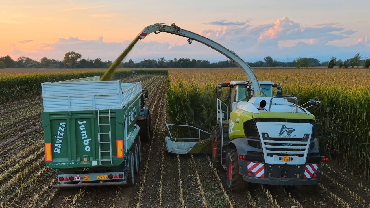 Claas Jaguar 980 | Corn Silage | Agromeccanica Agliardi