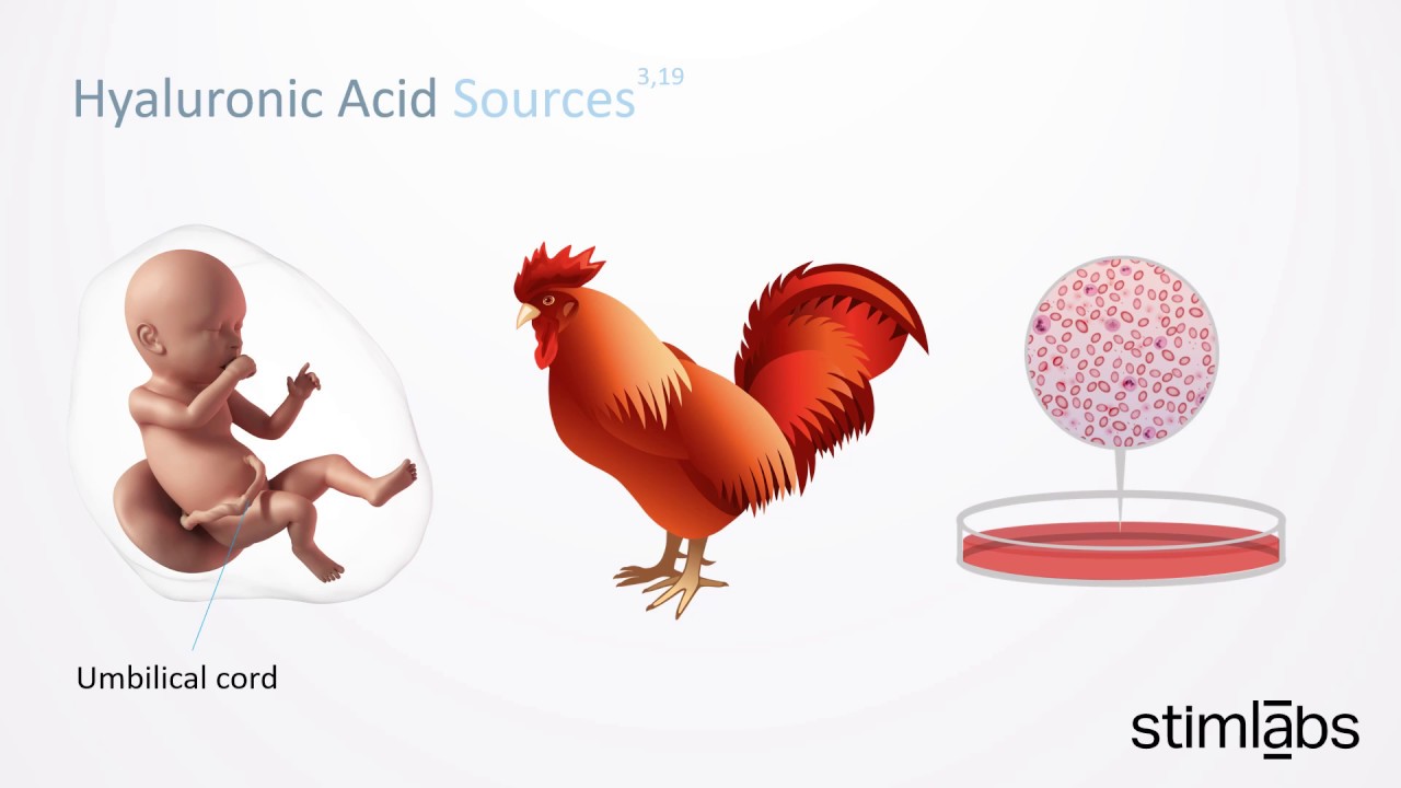 What is Hyaluronic Acid?