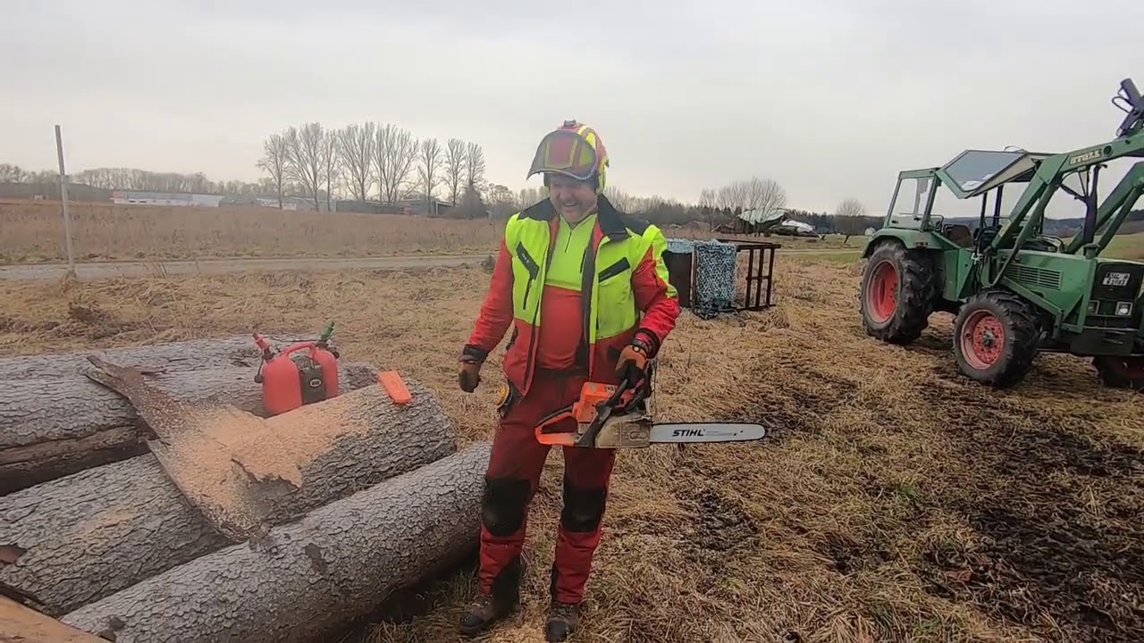 Brennholz machen mit Stihl 025 Fendt 108 S, Oehler Seilwinde, Esche sägen, Holz rücken, Kipper laden