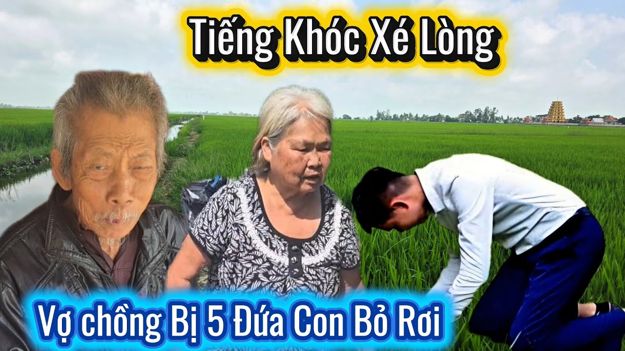 Xót Xa. Vợ Chồng Sống Nơi Hoang Vắng Bị 5 Đứa Con Bỏ Rơi Nay Nay Gặp Chuyện 