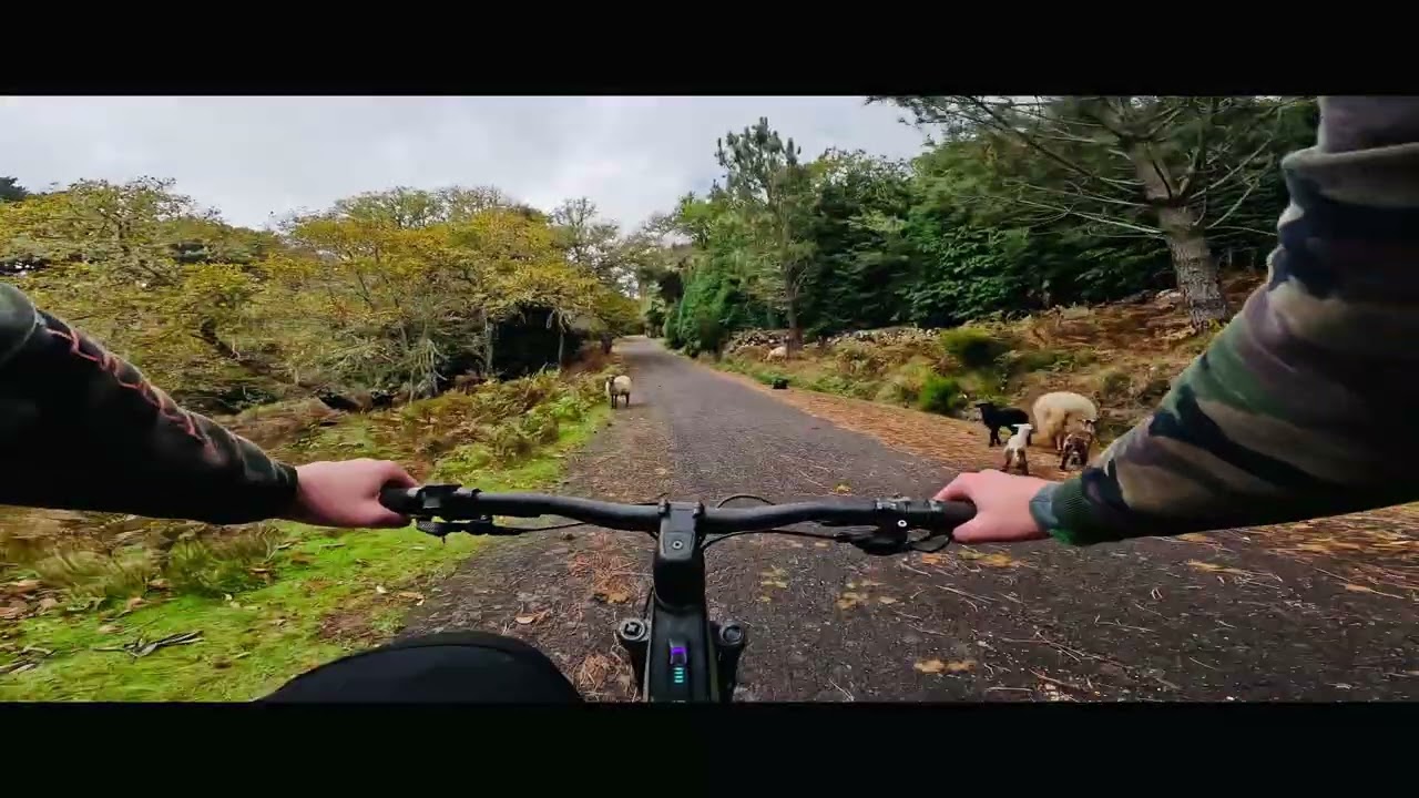 Madeira 2025 - eMTB with FREERIDE Madeira