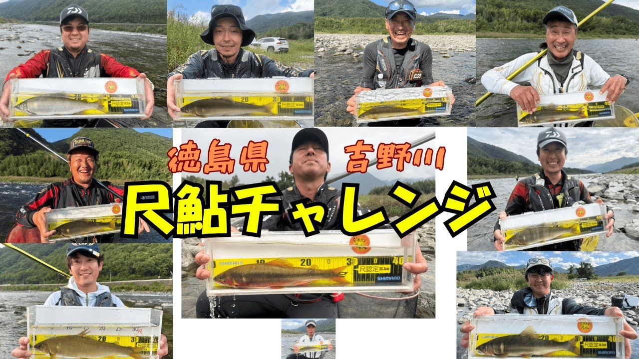 【吉野川】出たか尺超え！？激流の尺鮎チャレンジで奇跡の連発劇！
