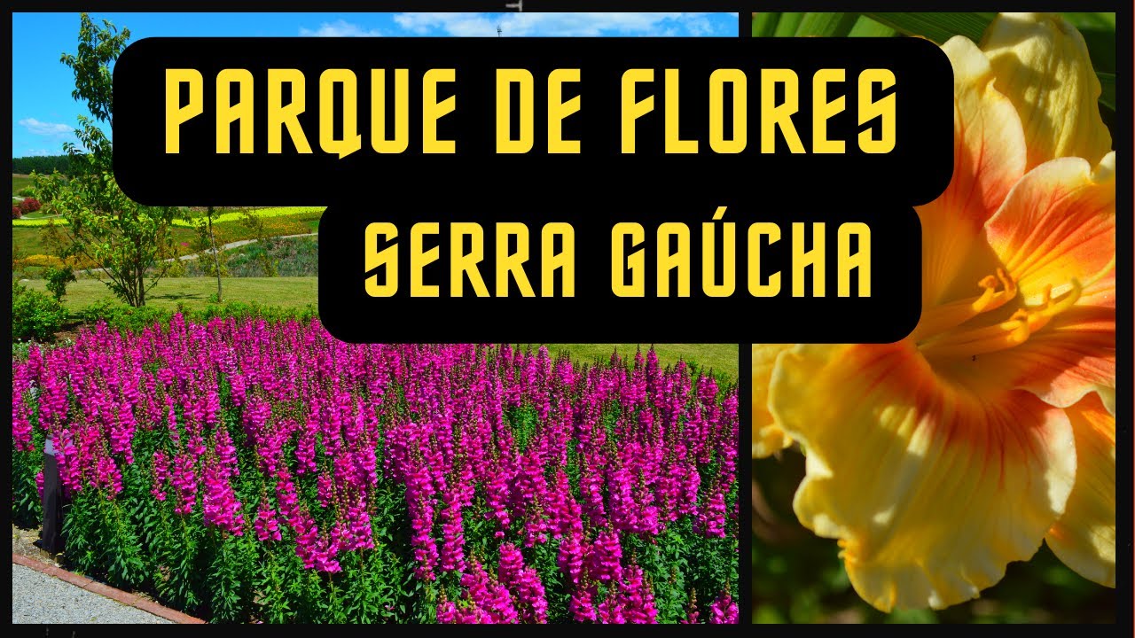 O MAIS LINDO PARQUE do BRASIL:  MÁTRIA PARQUE DE FLORES em SÃO FRANCISCO DE PAULA. Ep. 15 [4K]