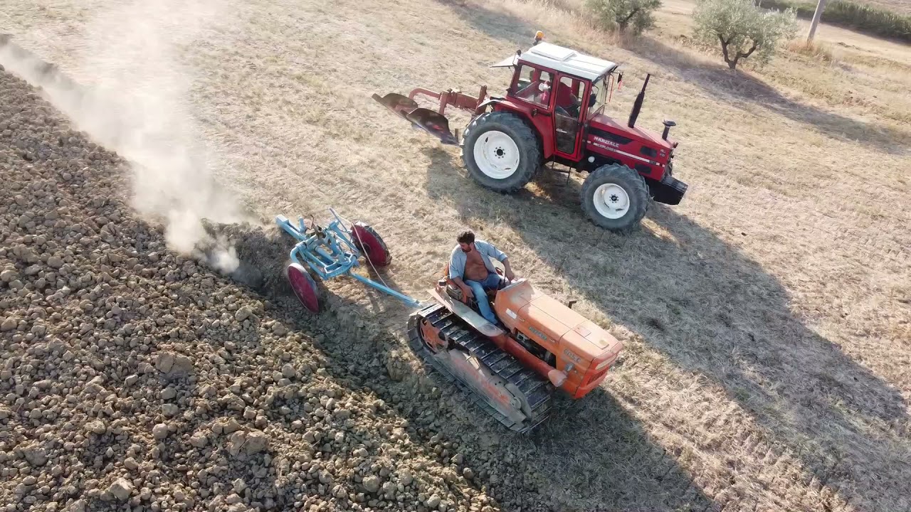 FESTA DELL'ARATURA 2K21. 12 TRATTORI, COLOGNA PAESE (TE). (AZIENDA AGRICOLA FRATELLI D'EMILIO).