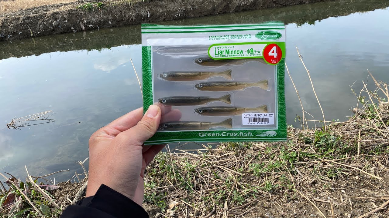 春に手堅くバスを釣る方法はコレです。