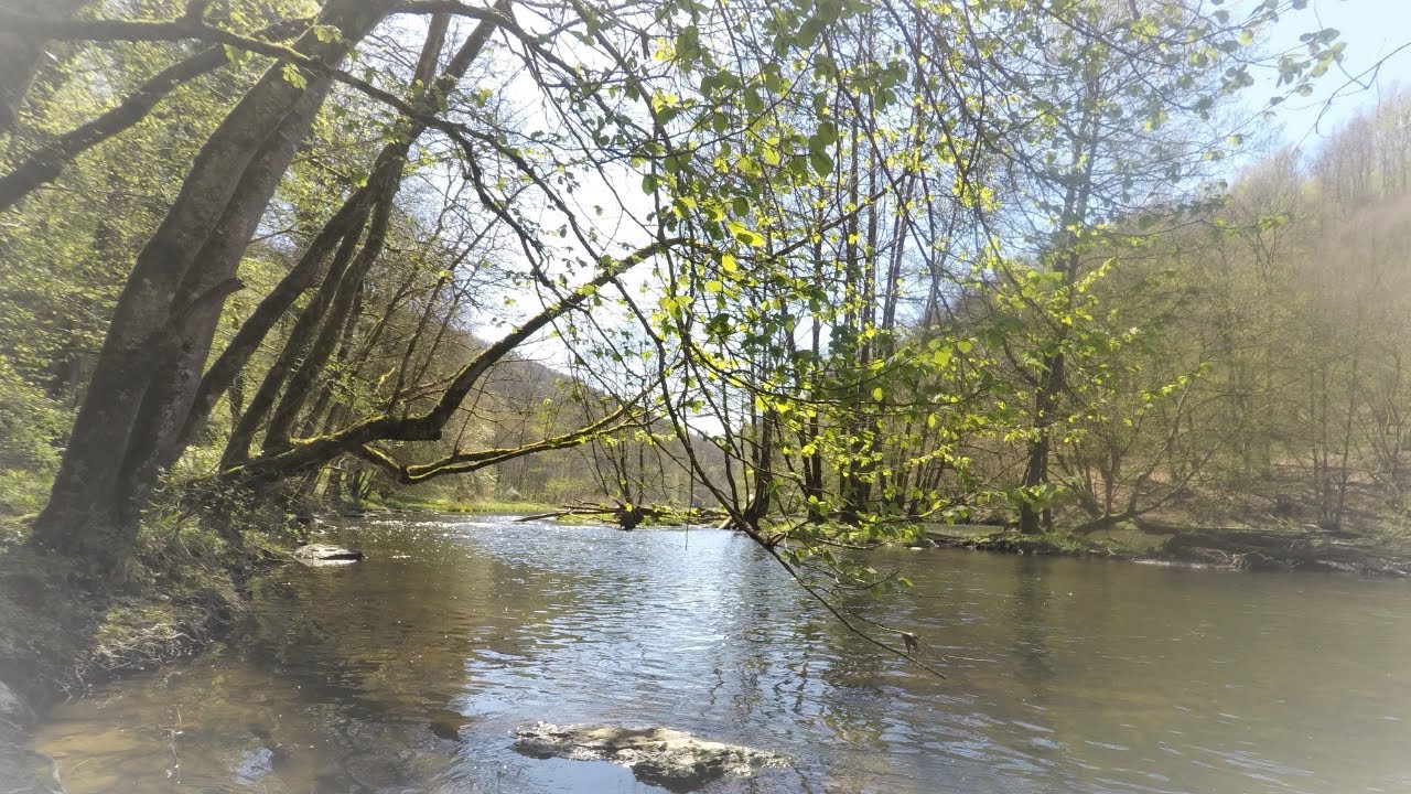 Wandelen Waalse Ardennen Maboge 3 La Roche