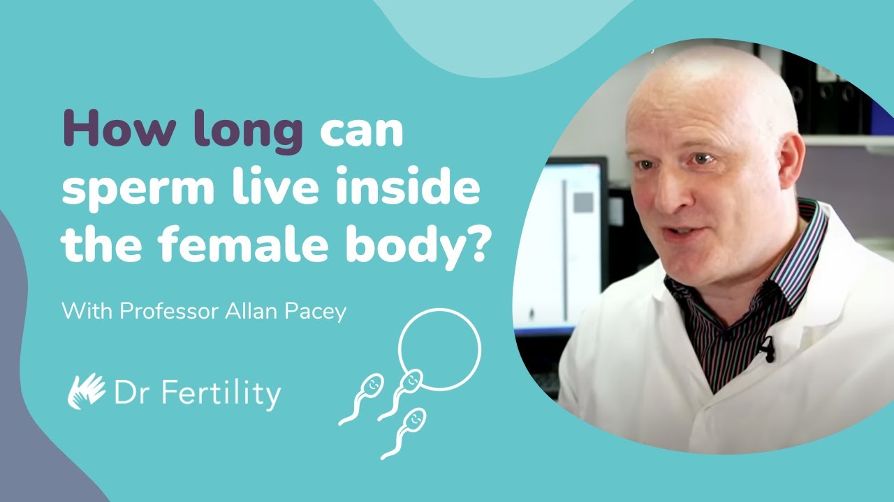 How Long Can Sperm Live Inside The Female Body? | #spermbanter | Dr Fertility