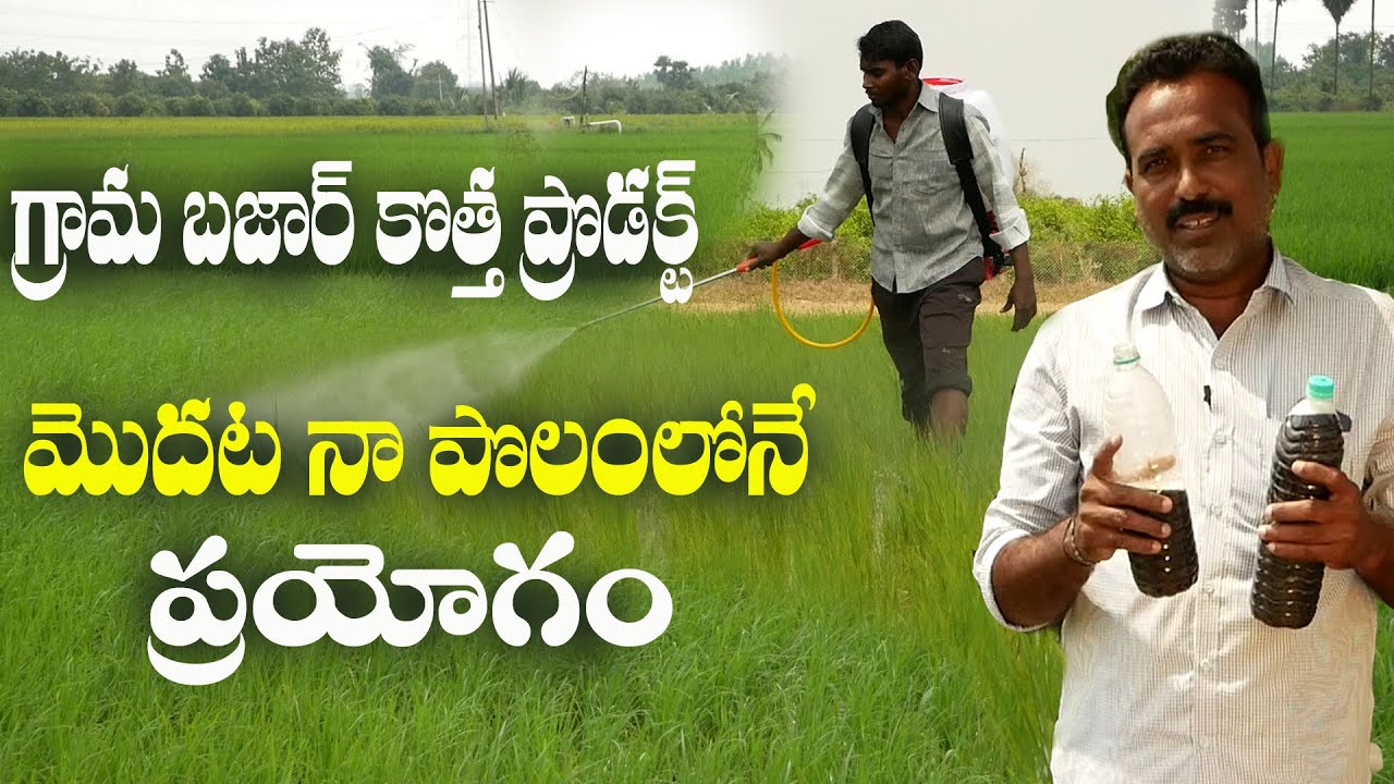 E68 | గ్రామ బజార్‌ కొత్త ప్రొడక్ట్‌..మొదటి ప్రయోగం | Sridhar 99895 33309 | @GramaBazaar