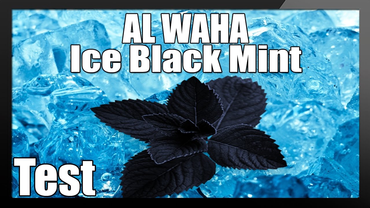 AL WAHA - Ice Black Mint | FREEESH!!!