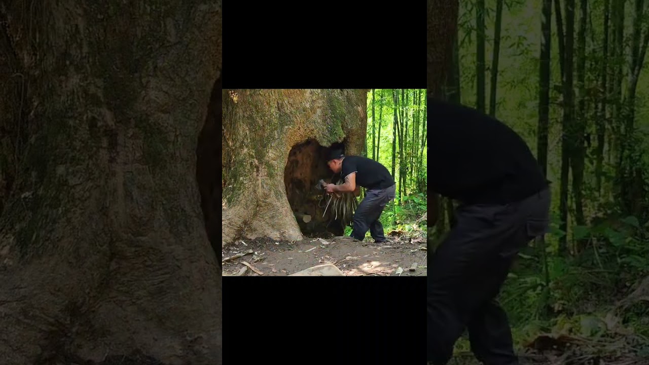 Howi built the jungle hideout Part 1#camping #survival #Outdoors #bushcraft #travel