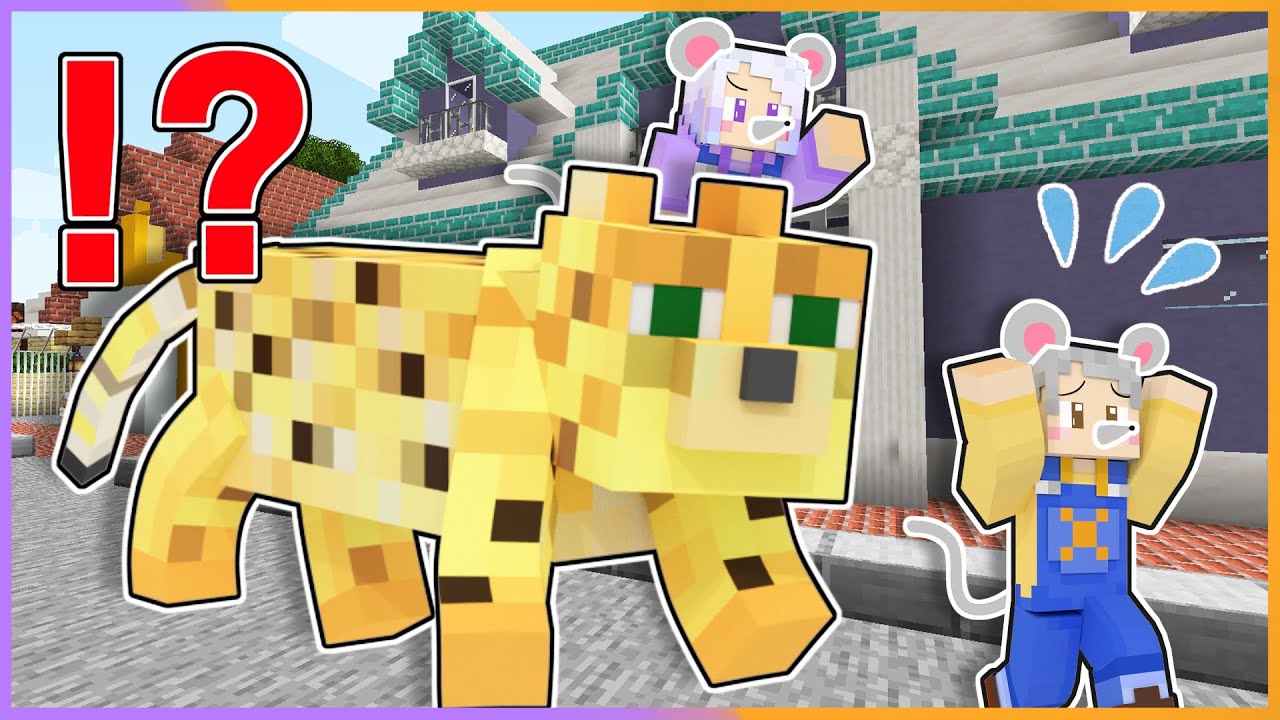 ネズミになってネコを救え！？怖いけどカワイイ猫たちを助けようとした結果！？【 マイクラ / まいくら / Minecraft 】