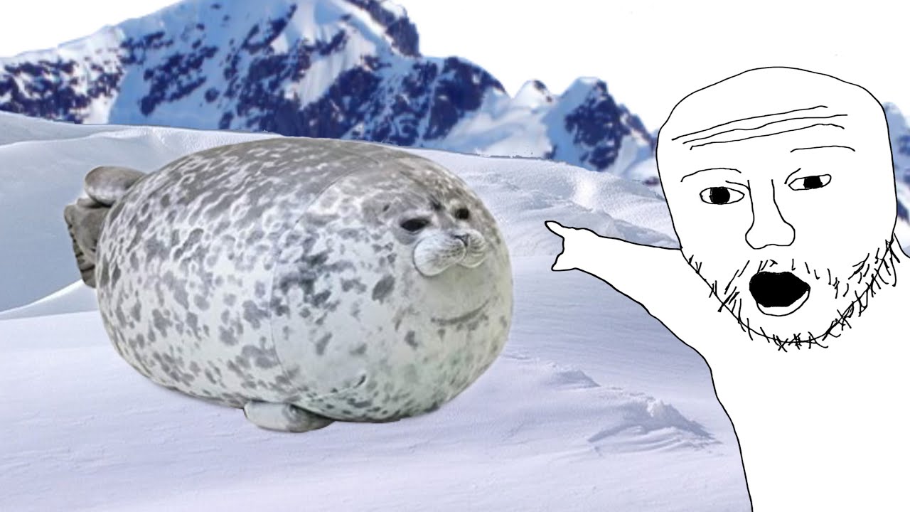 I was bored so I played silly seal