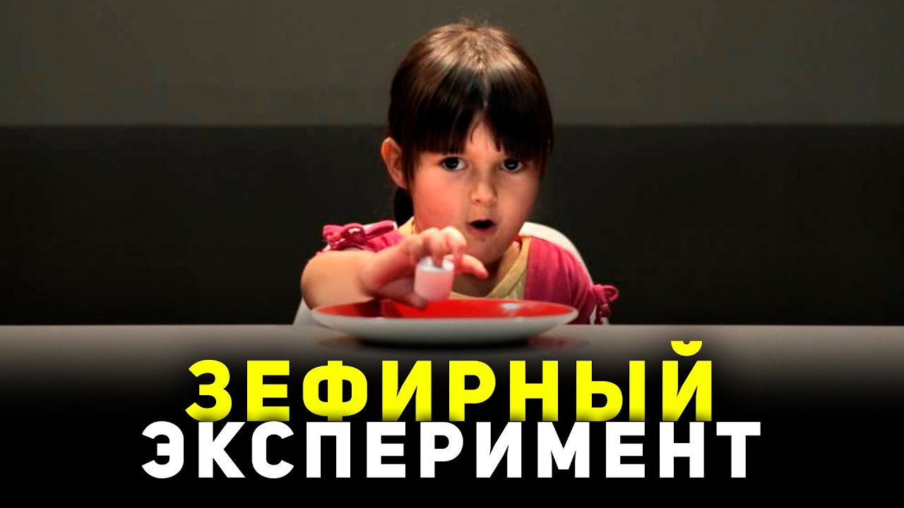 О чем говорит ЗЕФИРНЫЙ ЭКСПЕРИМЕНТ. Будет ли Ваш ребенок успешен в жизни? Психология личности 12+