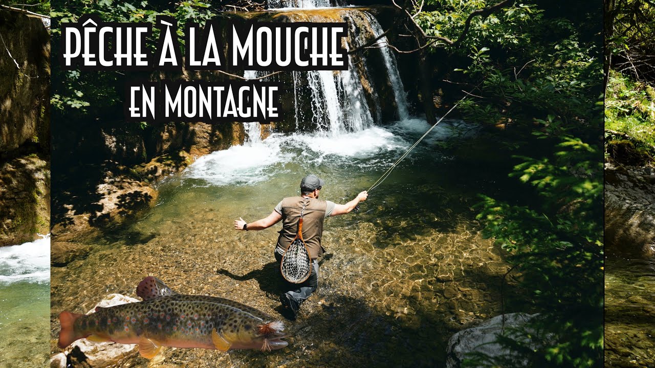 Pêche de la TRUITE à la MOUCHE en TORRENT de MONTAGNE